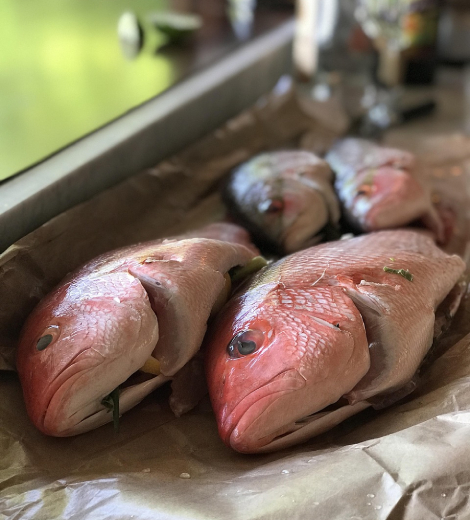 Wild Tunisian Snapper